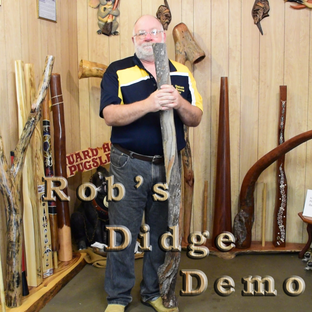 Rob's Didge Demo
